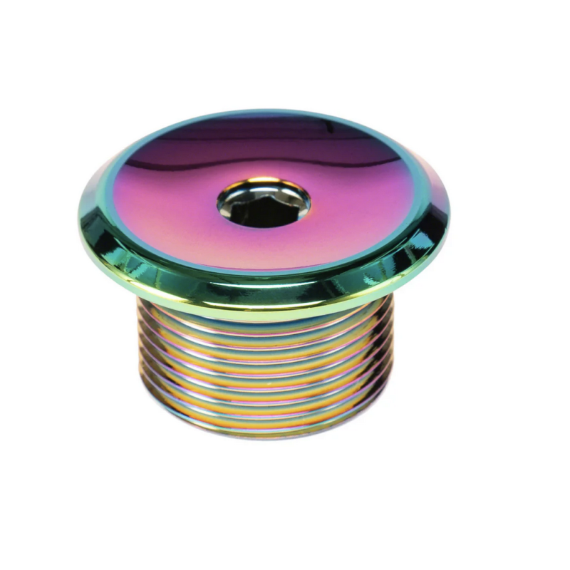 SALTPLUS HQ fork top bolt, Oil Slick (M24)